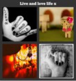 /album/photogallery/a9n4xb358j6i4kp2p9webd7tzruwguga-jpg/